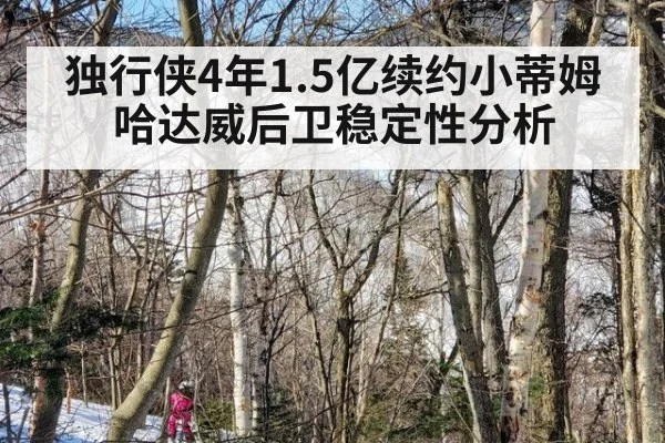独行侠4年1.5亿续约小蒂姆哈达威后卫稳定性分析